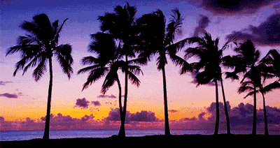 a9fba37d0b17ce2191569a315c19cad5.gif a9fba37d0b17ce2191569a315c19cad5.gif